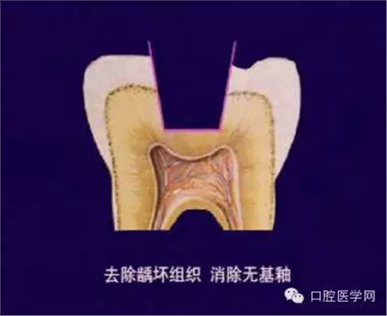 640.webp.jpg 640.webp.jpg