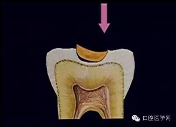 640.webp (1).jpg 640.webp (1).jpg