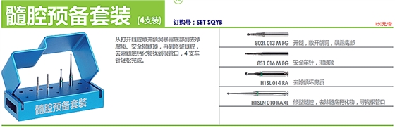 德国奥一髓腔预备套装