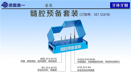 德国奥一髓腔预备套装
