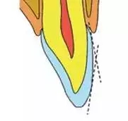 640.webp.jpg 640.webp.jpg