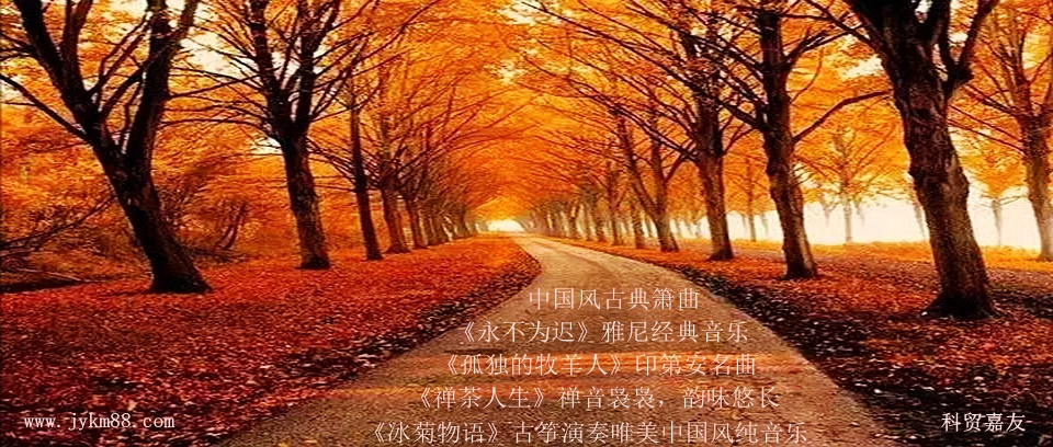 望海高歌一首伤感情歌《又是一年秋风凉》